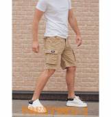 ����� Aviator | ���� coyote